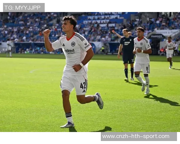 霍芬海姆足球俱乐部的崛起与挑战:探索德甲新势力的未来发展之路 霍芬海姆足球俱乐部的崛起与挑战:探索德甲新势力的未来发展之路